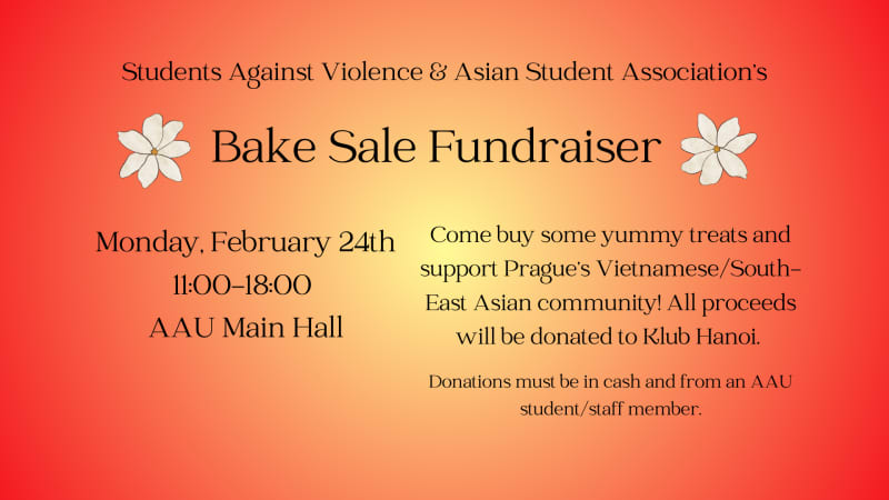 Asa fundraiser poster (1920 x 1080 px)