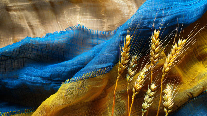 Public debate_ the future of ukraine